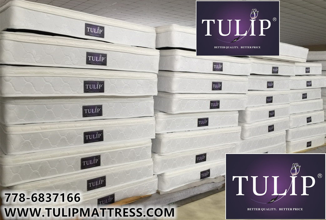 $480 COMBO SET: TULIP® BRAND NEW PILLOWTOP MATTRESS+BED#4~HEAVY DUTY!